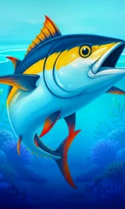 Big Boat Big Catch
